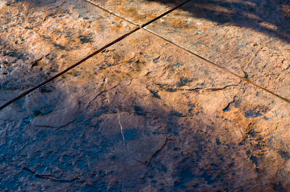 Palisades Pacific Stamped Overlay by Modern Concrete Surfaces - Photo 6