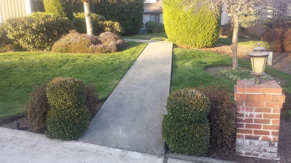 Pathways and Entrances by CD Paver Management - Photo 4