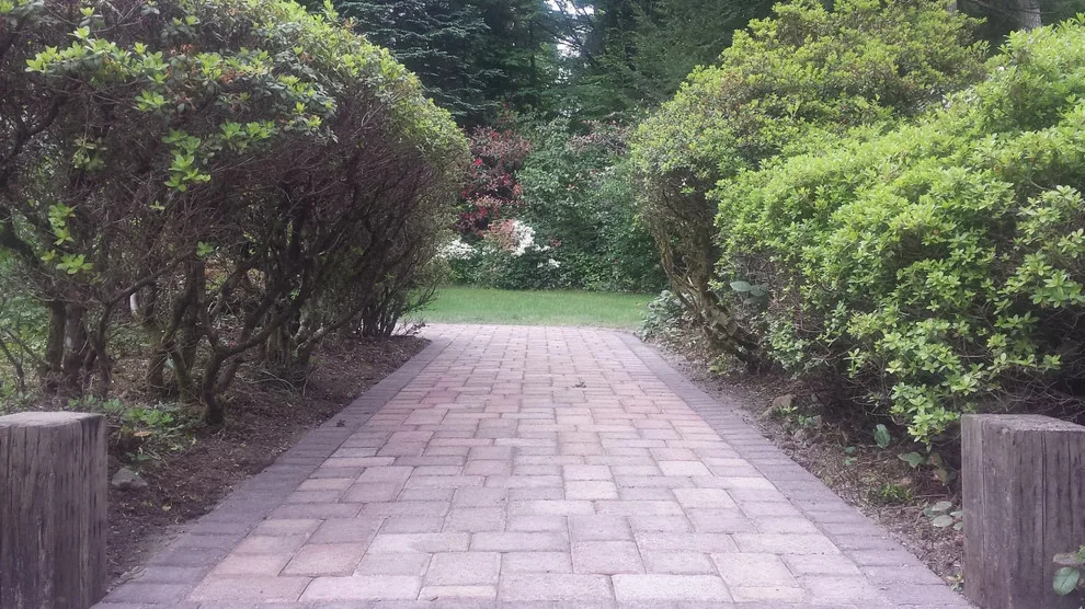 Pathways and Entrances by CD Paver Management - Photo 6