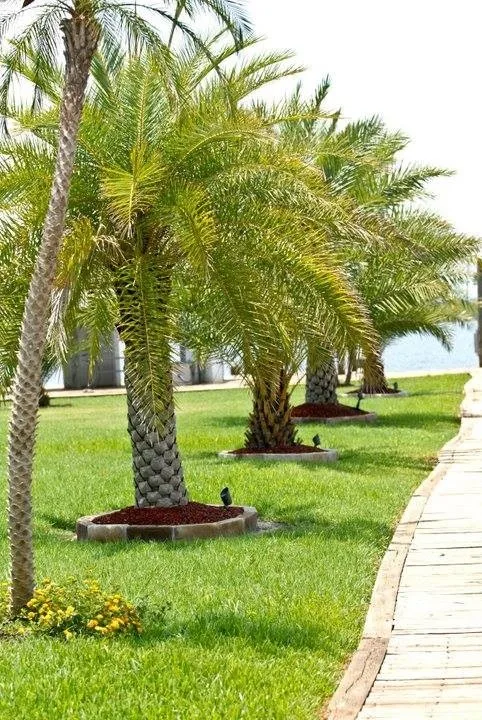 Outdoor Design and Pool Installation by Stepping On Stones - Photo 3