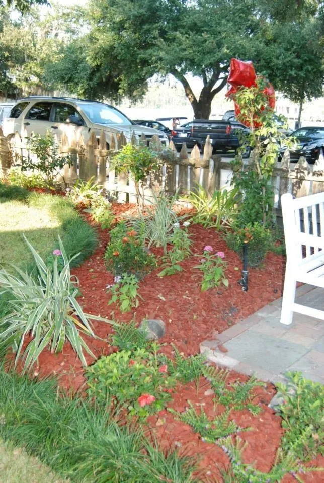 Additional Miscellaneous Images by Stepping On Stones - Photo 3