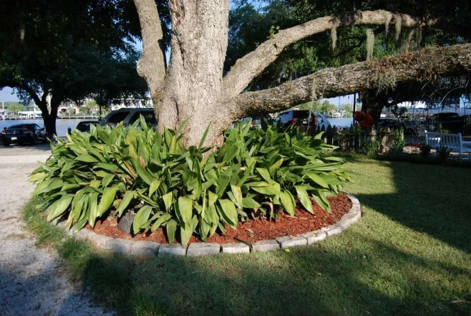 Additional Miscellaneous Images by Stepping On Stones - Photo 4