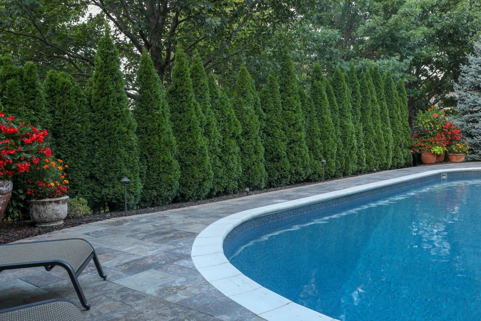 Lawnside Luxury by Watkins Concrete Block Company, Inc. - Photo 6