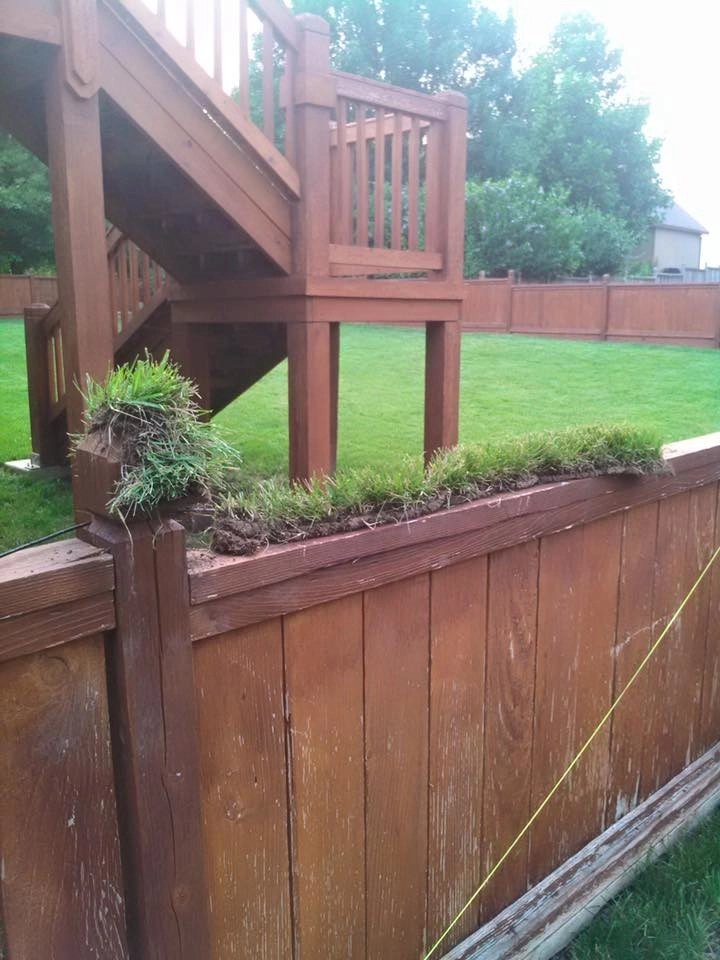 Three Trails LLC - Photo 5