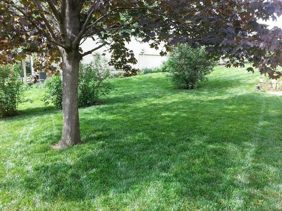 Three Trails LLC - Photo 10