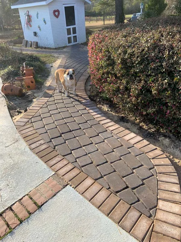 Housing Development by Carolina Paver Patios, LLC - Photo 17