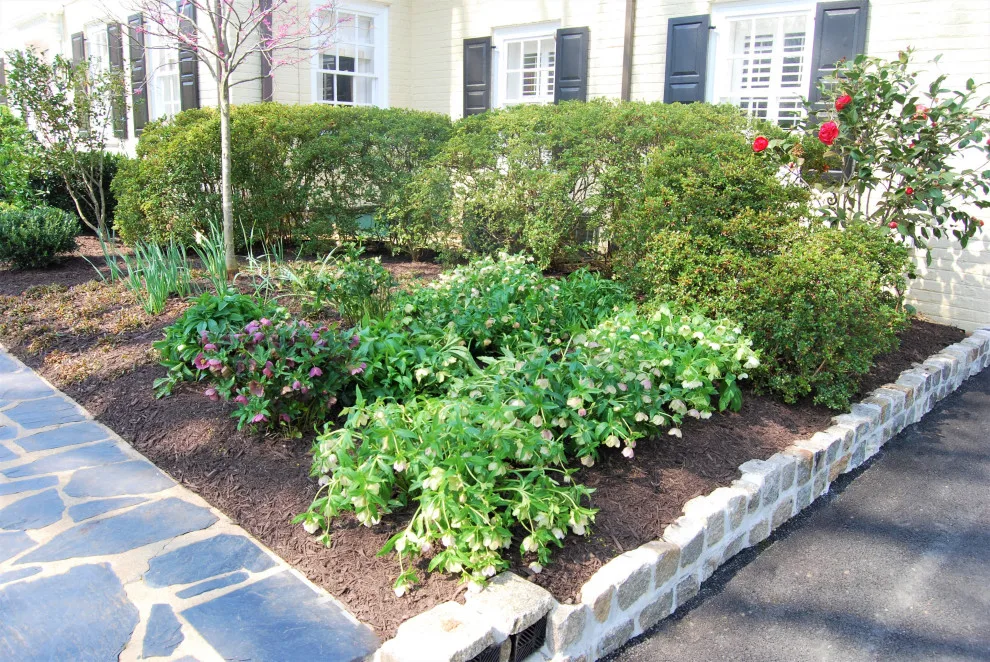 Richmond Initiative by Glen Allen Grounds Management, LLC - Photo 6