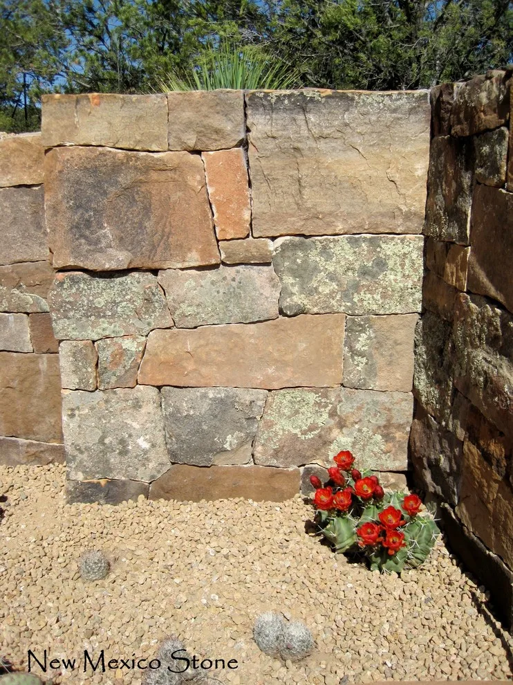 Santa Fe Garden of Botany by New Mexico Stone - Photo 8