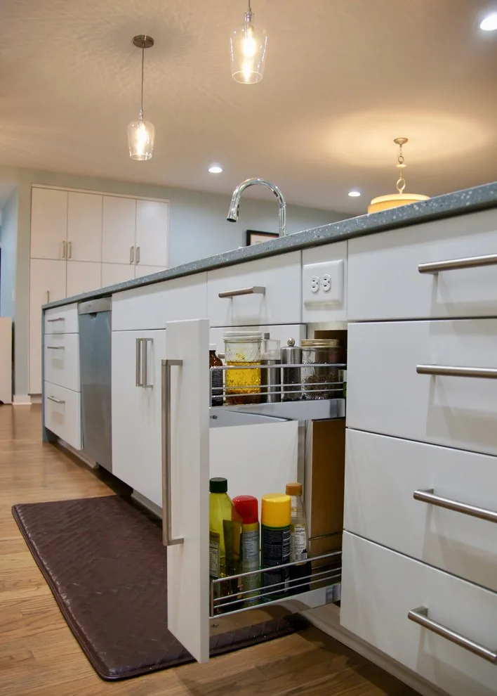 Chapel Hill Modern Renovation Project by Sophie Piesse Architect, PA - Photo 14