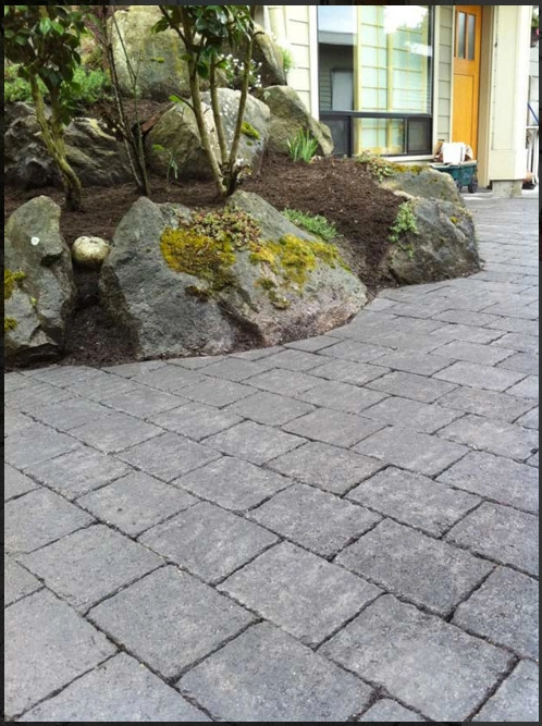 Tierra Landscape LLC - Photo 7