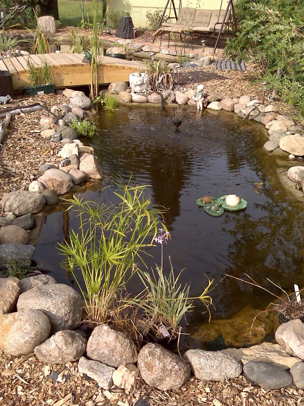 Specialized Projects by Timberland Outdoor Services - Photo 3