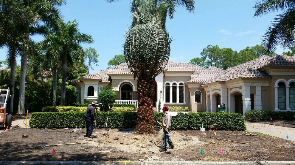 TLC LAWN / Creativescapes Landscaping LLC - Photo 14