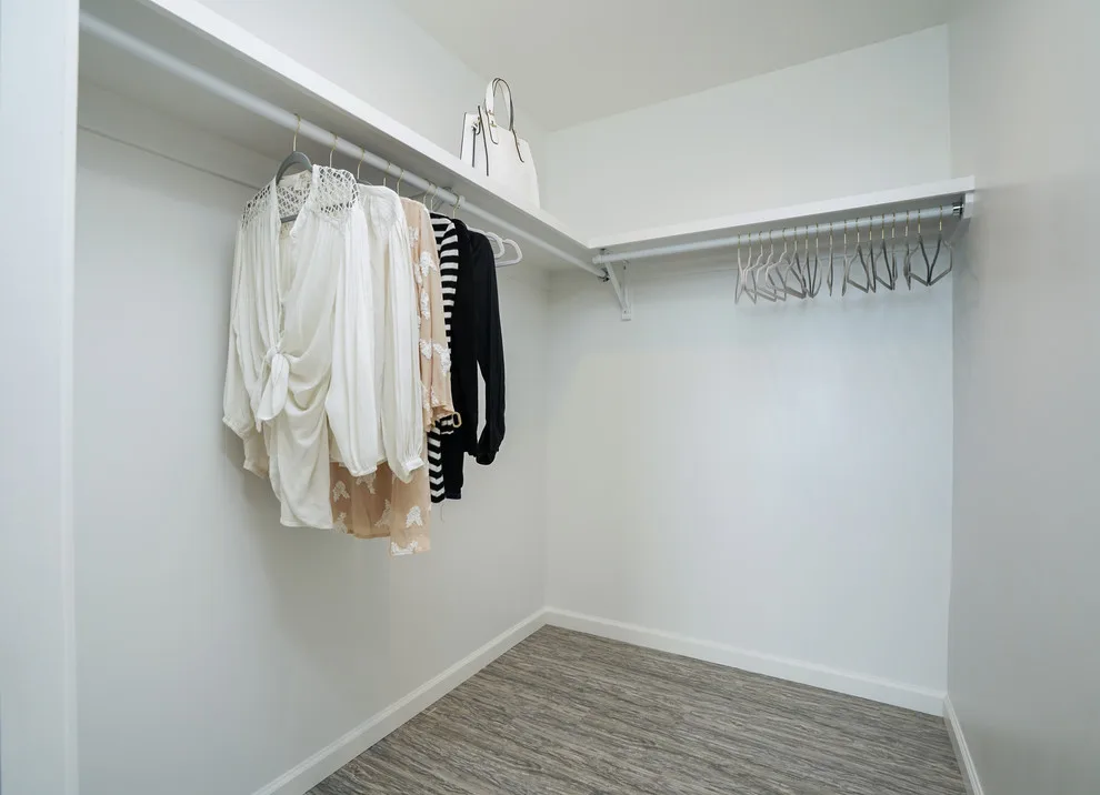 Pacific Heights Renovation by Prowork Pacific Inc. - Photo 14