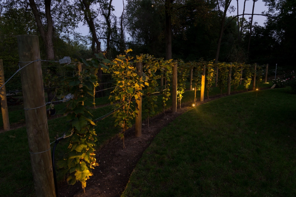 Outdoor Lighting by TotalScape Design - Photo 18