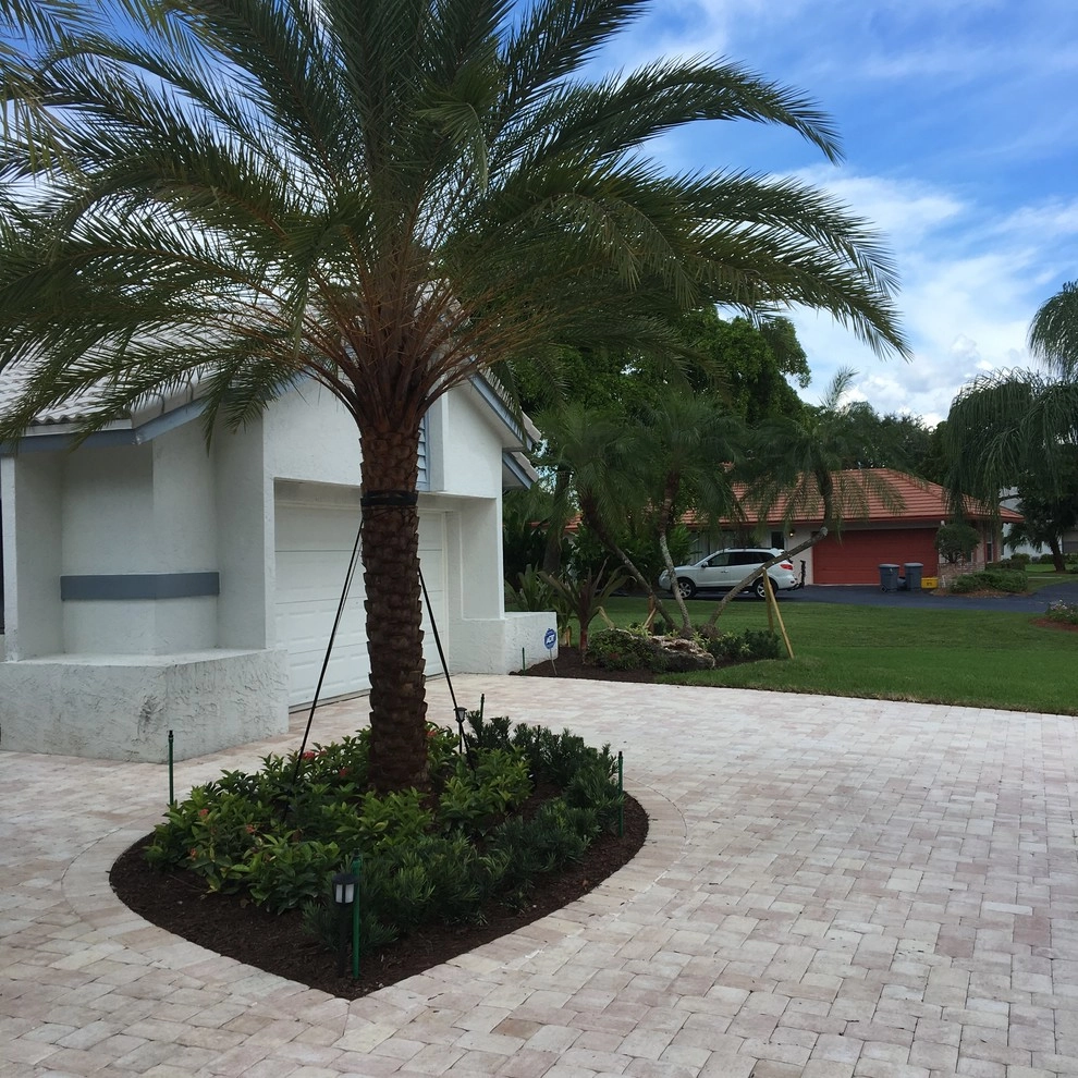 Boca Raton Driveway and Landscape by TotalScape Design - Photo 10