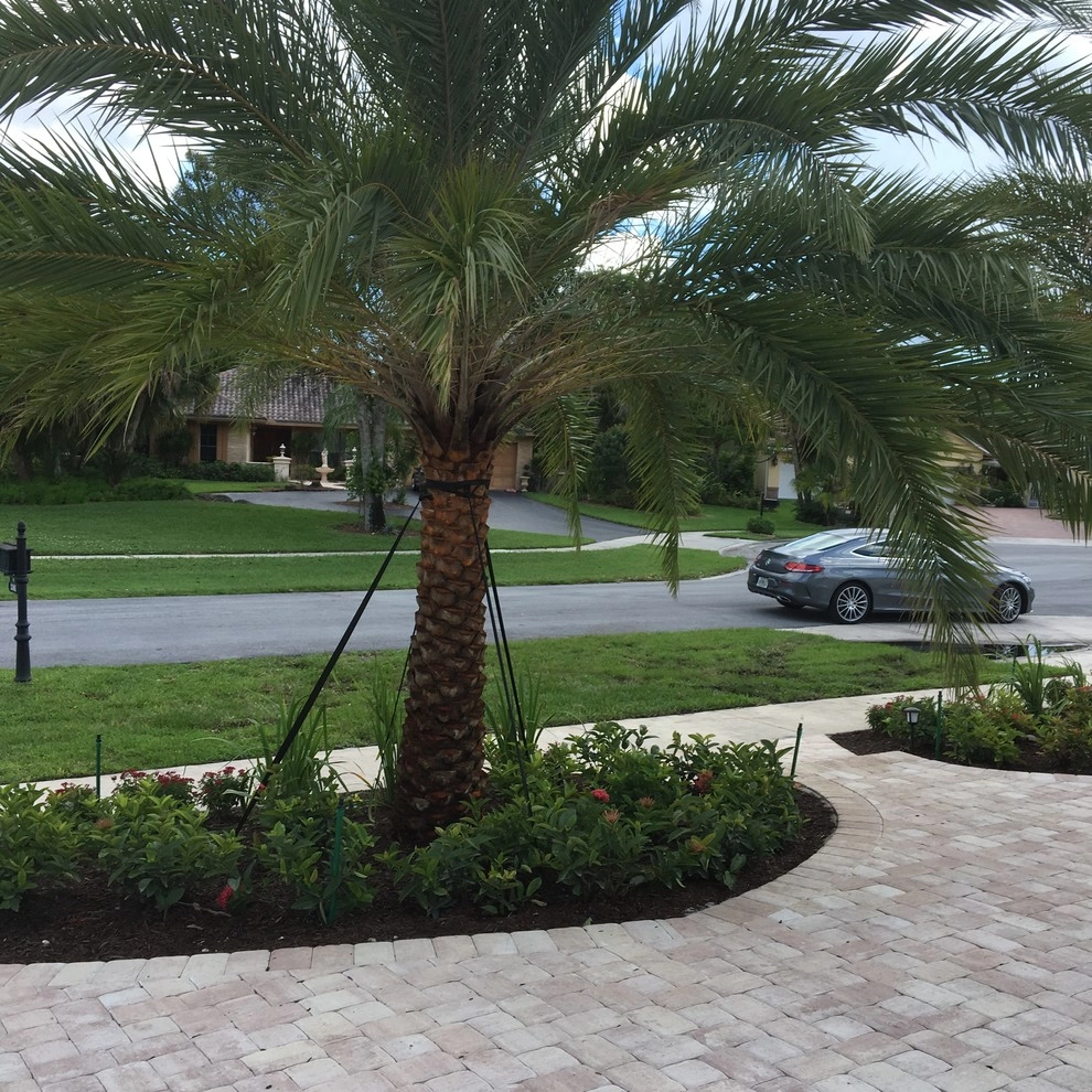 Boca Raton Driveway and Landscape by TotalScape Design - Photo 13