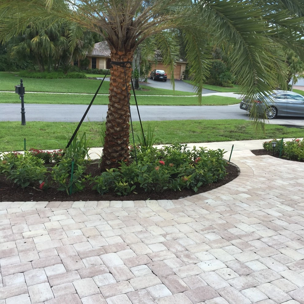 Boca Raton Driveway and Landscape by TotalScape Design - Photo 8