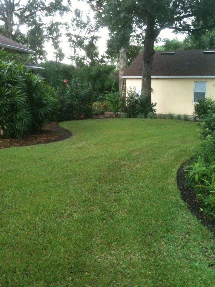 TPG Lawn & Landscape - Photo 7