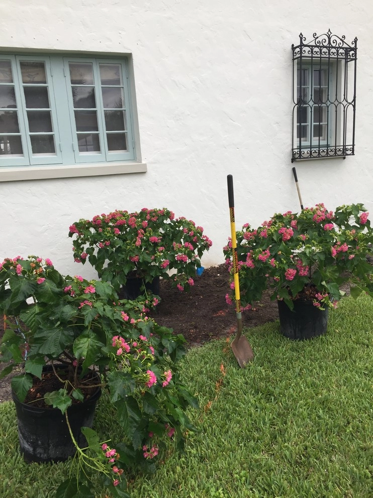 Palm Beach Estate in Progress Landscaping by Treasure Coast Irrigation & Rood Landscape, LLC - Photo 2