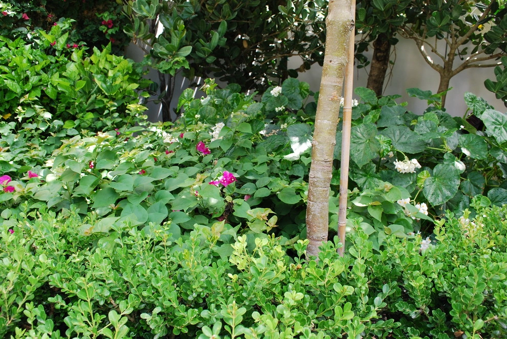 Rood Landscape Projects by Treasure Coast Irrigation & Rood Landscape, LLC - Photo 29