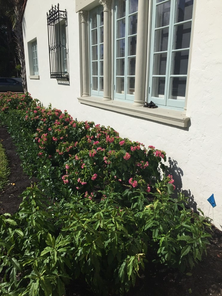 Treasure Coast Irrigation & Rood Landscape, LLC - Photo 3