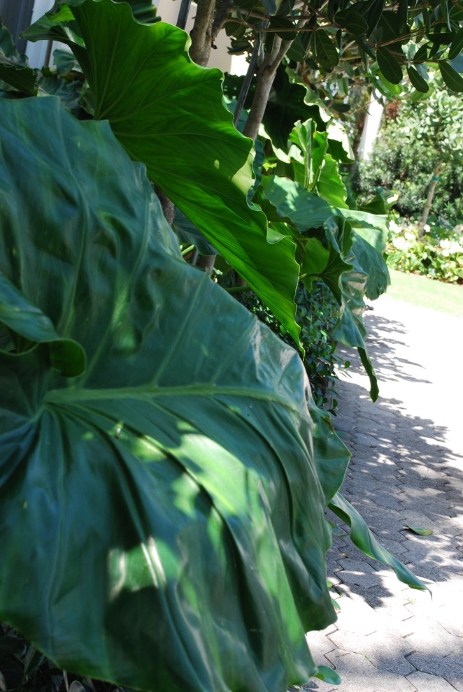 Rood Landscape Projects by Treasure Coast Irrigation & Rood Landscape, LLC - Photo 40