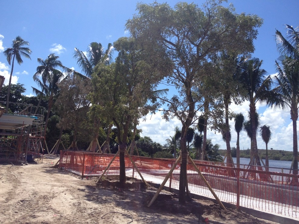 Jupiter ISland by Treasure Coast Irrigation & Rood Landscape, LLC - Photo 13