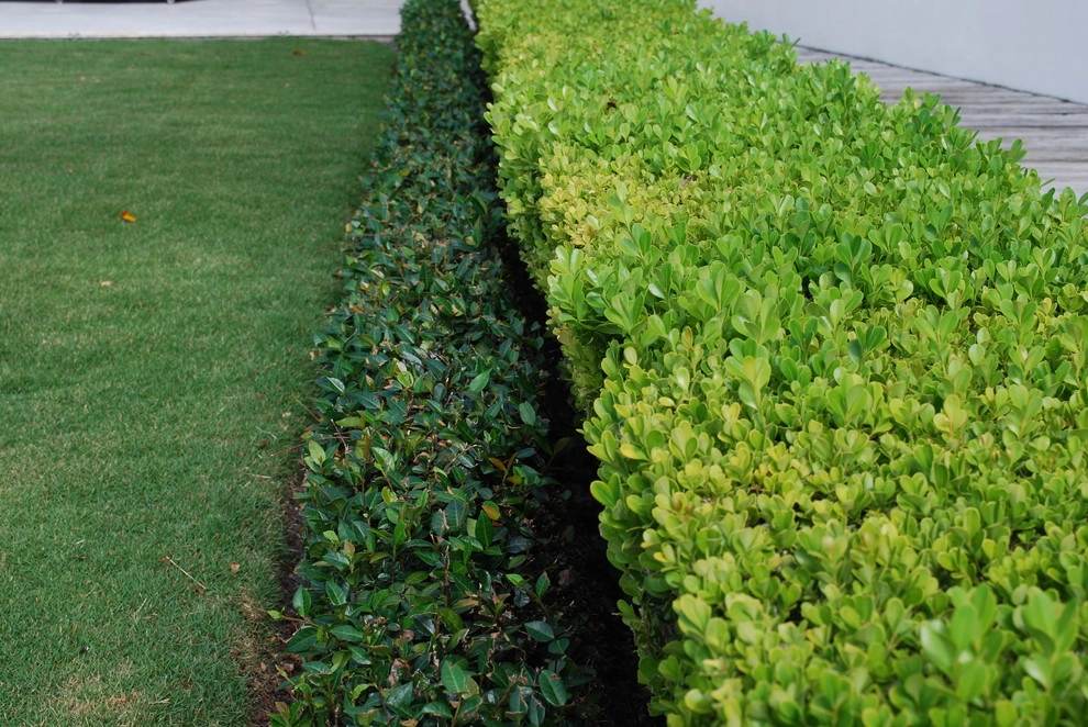 Rood Landscape Projects by Treasure Coast Irrigation & Rood Landscape, LLC - Photo 30