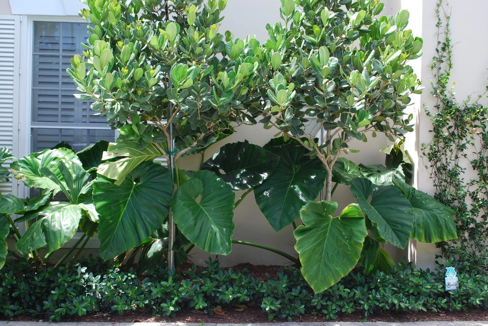 Treasure Coast Irrigation & Rood Landscape, LLC - Photo 14