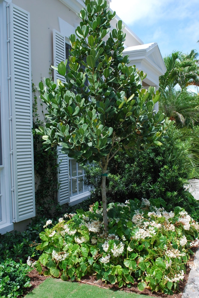 Rood Landscape Projects by Treasure Coast Irrigation & Rood Landscape, LLC - Photo 18