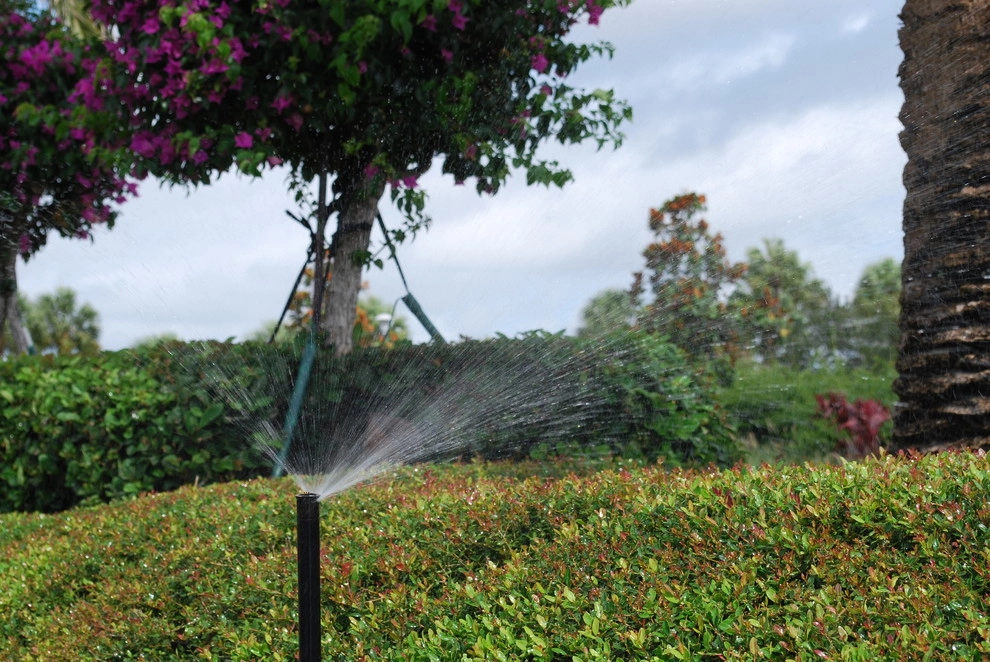 Rood Landscape Projects by Treasure Coast Irrigation & Rood Landscape, LLC - Photo 38