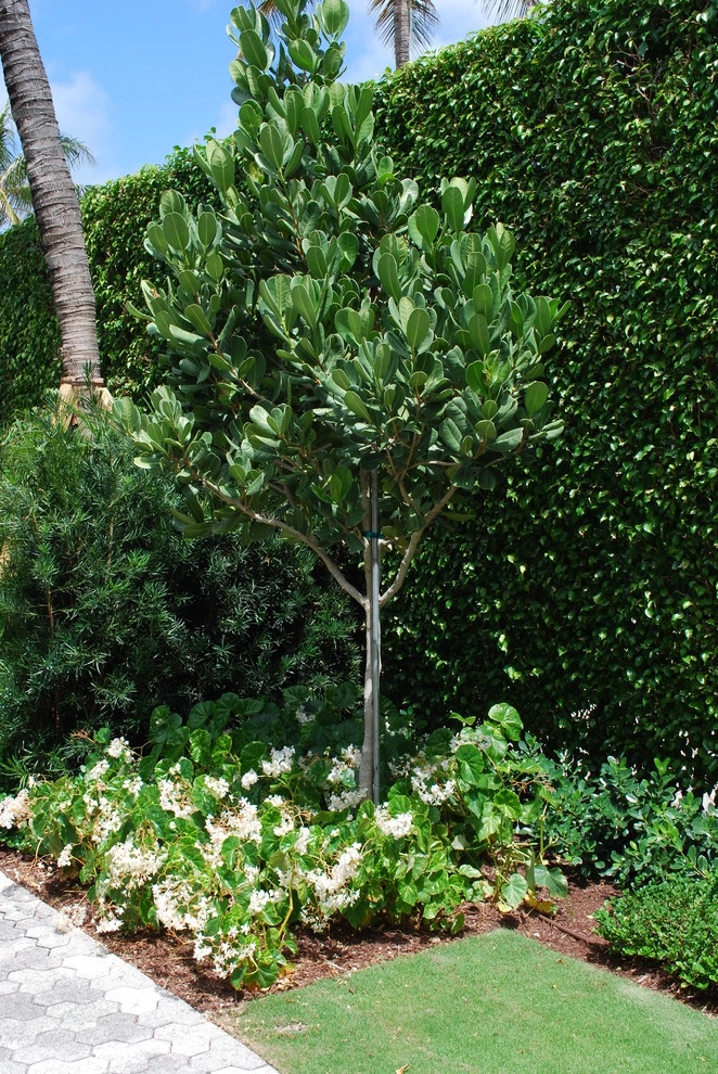 Rood Landscape Projects by Treasure Coast Irrigation & Rood Landscape, LLC - Photo 44