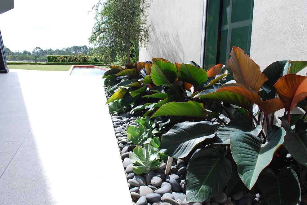 Treasure Coast Irrigation & Rood Landscape, LLC - Photo 13