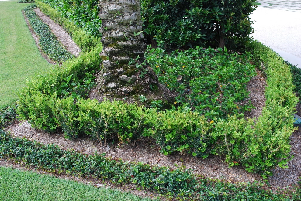Rood Landscape Projects by Treasure Coast Irrigation & Rood Landscape, LLC - Photo 16