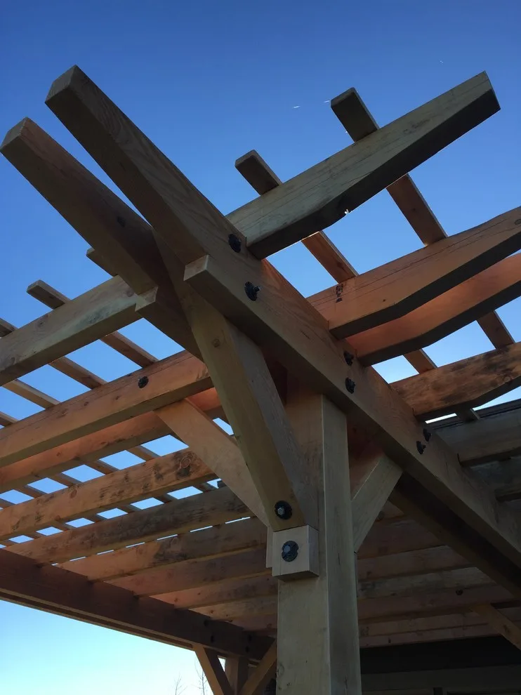 Boise Pergola - Construction and Design by J Truex Architecture - Photo 2