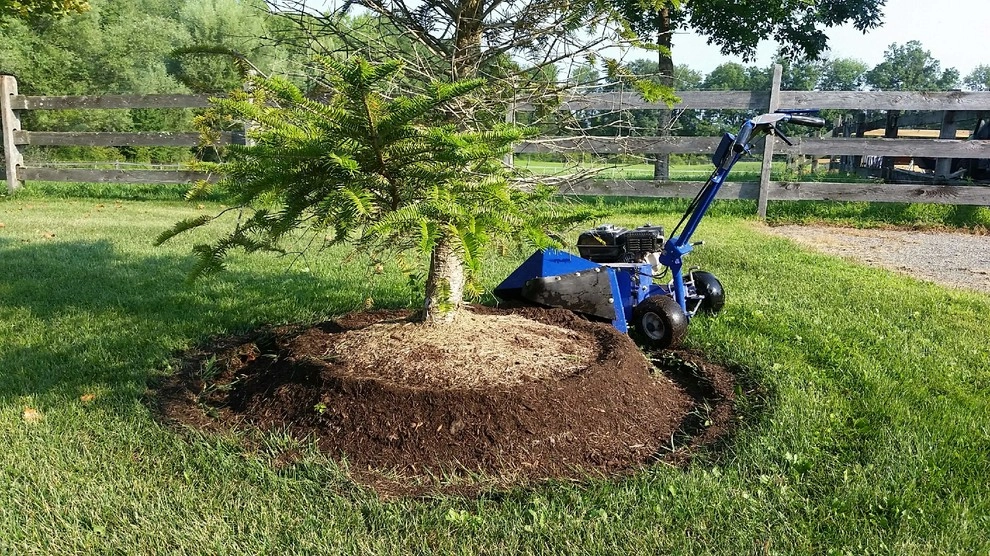 Horse Farm by Trevor's Landscaping - Photo 3