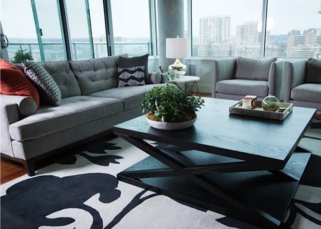 Plaza Perspective by Lisa Schmitz Interior Design - Photo 5