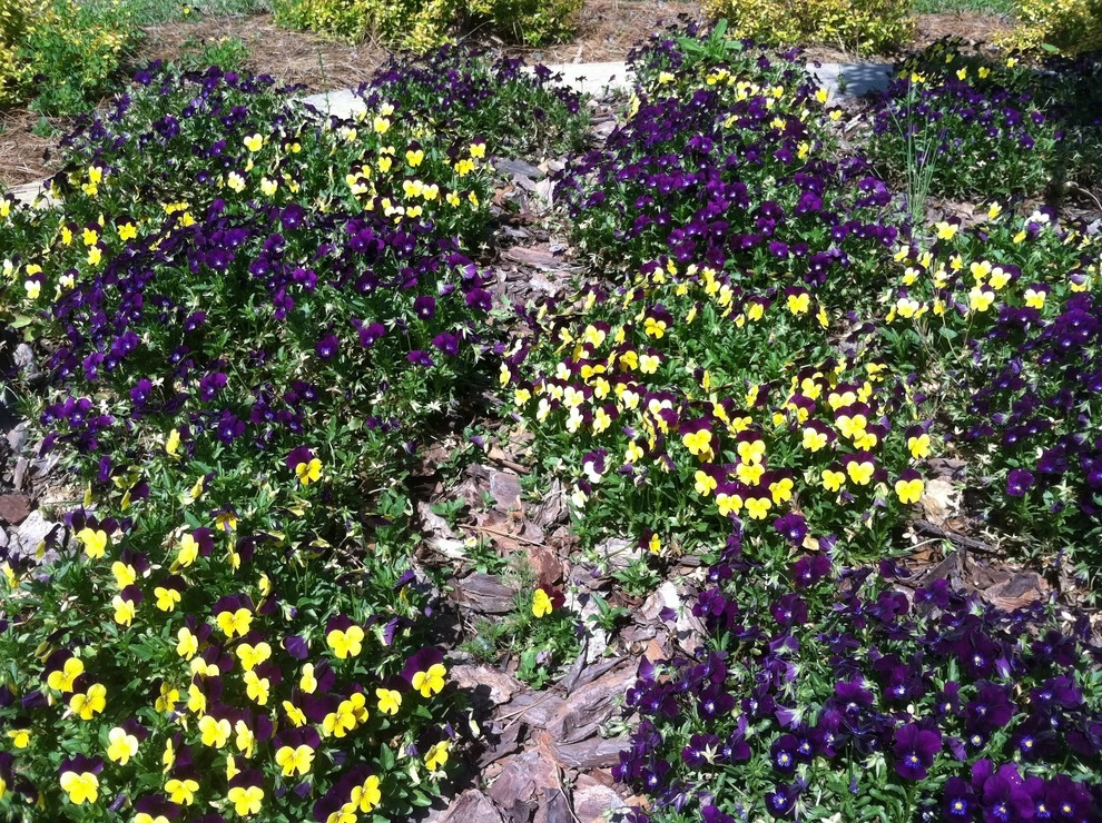 Flowers by Trey's Lawn Service, LLC - Photo 2