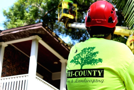 Tri County Landscaping - Photo 5