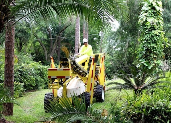 Tri County Landscaping - Photo 3