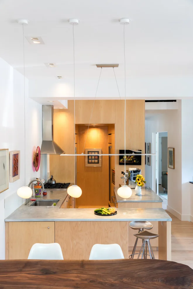 Downtown Portland Home by Reiter Architecture & Design - Photo 2