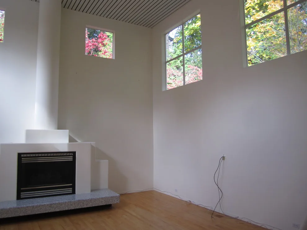 modern fireplace makeover by Barnett Adler - Photo 7