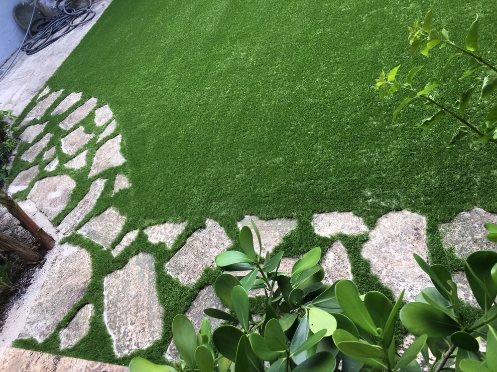 Coral Gables backyard by Tropical Turf - Photo 4