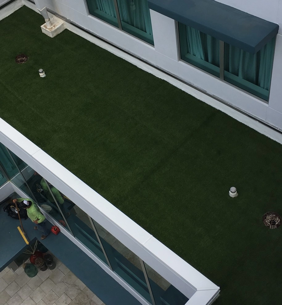 Tropical Turf - Photo 10