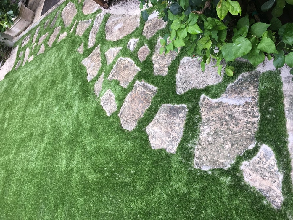 Coral Gables backyard by Tropical Turf - Photo 2
