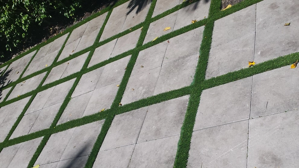 Tropical Turf - Photo 14