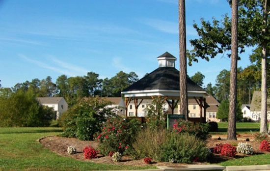 TSP Lawns And Landscaping, Inc - Photo 7