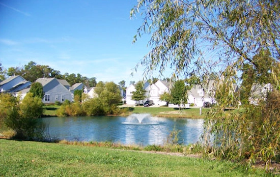 TSP Lawns And Landscaping, Inc - Photo 9