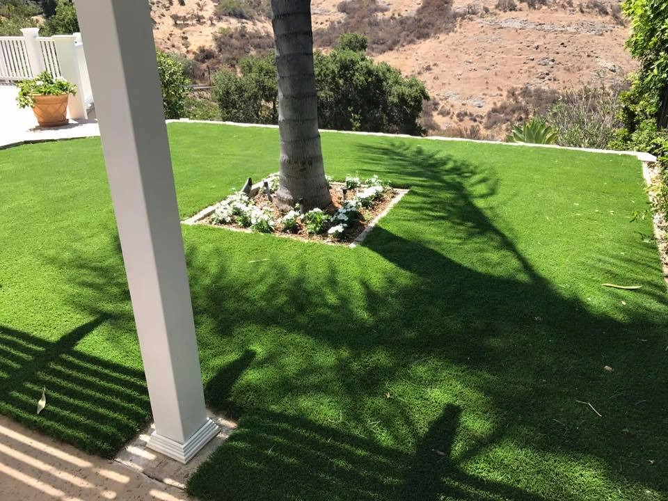 Completed Lawns and Turfs by Turf Exchange - Photo 39