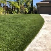 Turf Exchange - Photo 9